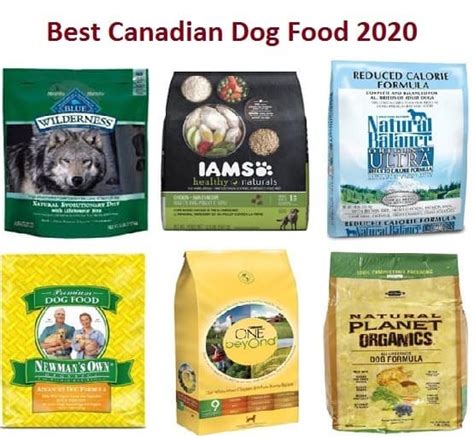 Best Canadian Dog Food In 2022 – (Updated List) – The Best of Breeds