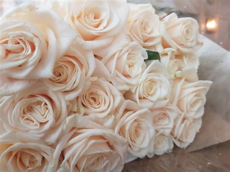 White Cream Roses Bouquet Flowers Flowers Bouquet Cream Roses Rose