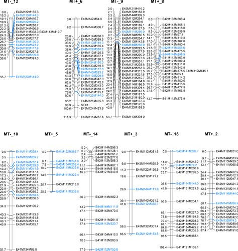 Table 1 From Linkage Mapping Identifies The Sex Determining Region As A