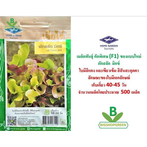 （เมล็ดพันธุ์ ผู้ผลิต）เมล็ดพันธุ์ ผักสลัดมิกซ์ ตราเจียไต๋ เมล็ดพันธุ์