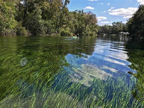 Best tubing in Florida: 6 splendid springs & white sandbars too