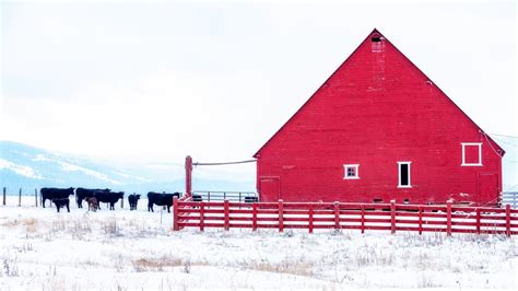 Why Are Barns Red The Vermont Country Store Blog