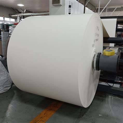 Cup Paper Roll With Double PE Coating 230GSM PE Coated Paper Roll