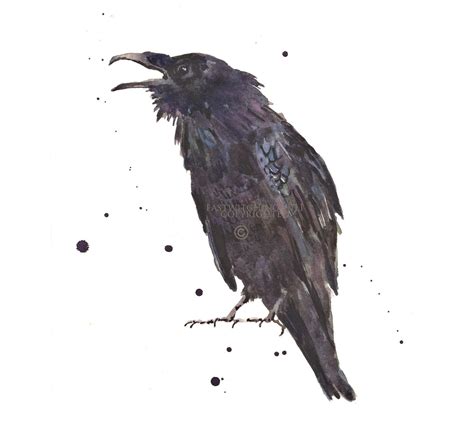 Raven Bird Drawing at PaintingValley.com | Explore collection of Raven ...