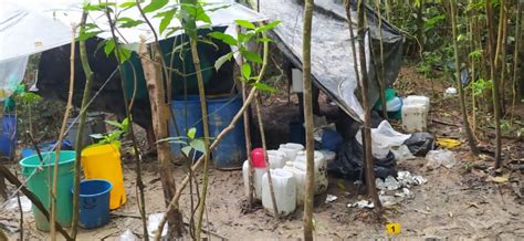 Desmantelado laboratorio de cocaína en el Meta