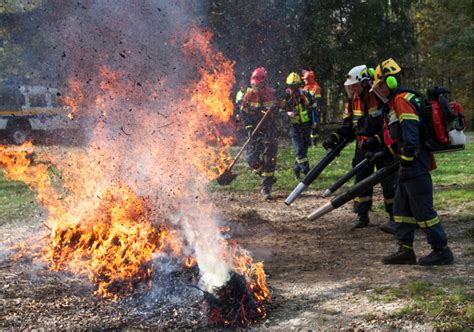 Protezione Civile E Volontari Antincendio La Cm Scrive Ai Sindaci