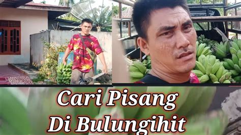 Cari Pisang Di Bulungihit Pisang Super Pedagang Tani Jejak Si Pemburu