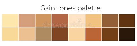 Skin Color Palette. Human Skin Tone Colors Stock Vector - Illustration ...