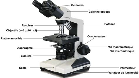 M Thode Utilisation Dun Microscope Vieterre