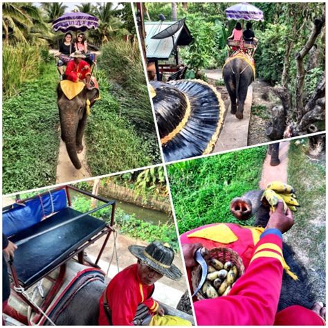 Back To Bangkok 2015 Part 2 Elephant Ride And Floating Market Delicieuxpate