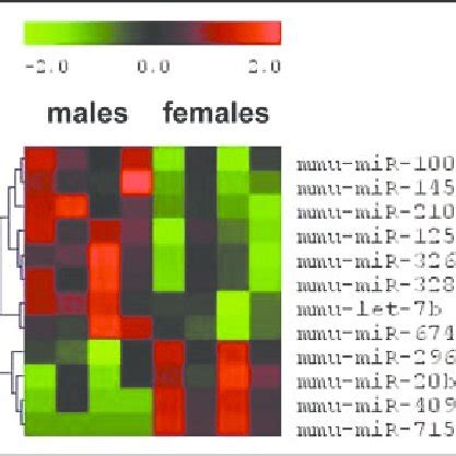 Differentially Expressed MiRNAs In The Spleen Of Male And Female Mice