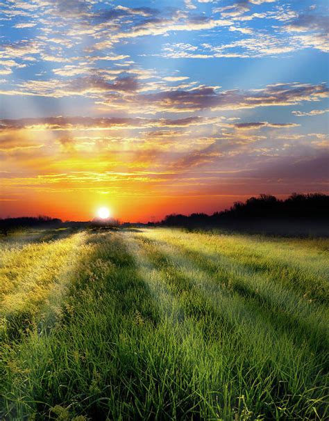 Fiery Sunrise Over Field Of Grass With Poster by Jamesbrey - Photos.com