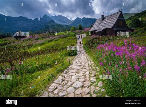 tatra mountains hala gasienicowa poland stock photo alamy