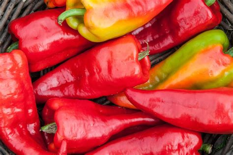 Big Peppers Guide: The Giants Of The Pepper Scale