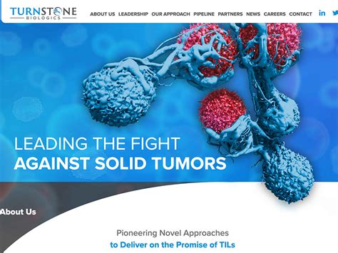 Expansion And Identification Of Neoantigen Reactive Tumor Infiltrating