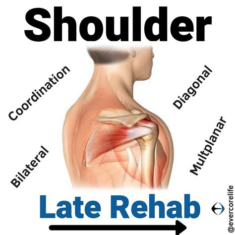 Dr. Marc Robinson,DPT,Cert.MDT on Instagram: “SHOULDER EXERCISES - LATE REHAB -- The late stages ...