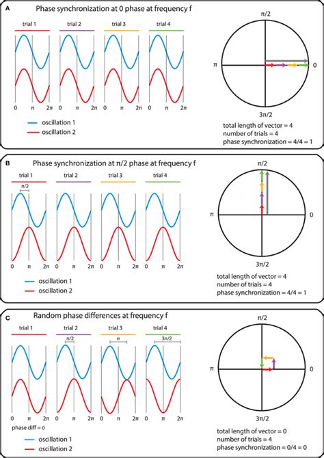 The Mechanics Of The Computation Of Phase Synchrony A An Instance Of