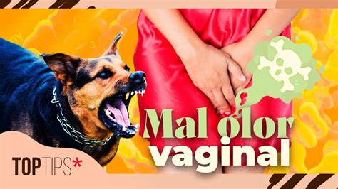 Cómo Eliminar El Mal Olor Vaginal Top Tips Youtube