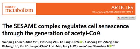 李珊珊 余希岚团队发现醋酸加快细胞衰老的新机制 湖北大学新闻网