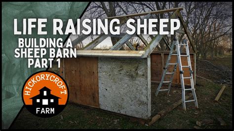 Life Raising Sheep Vlog Building A Sheep Barn To Beat The Winter Blues