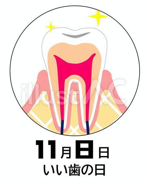 いい歯の日 11月8日イラスト No 22652490／無料イラストフリー素材なら「イラストac」