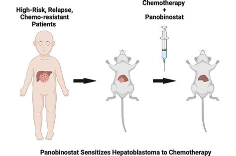 Novel Combination Therapy Offers Promising Results For Treatment