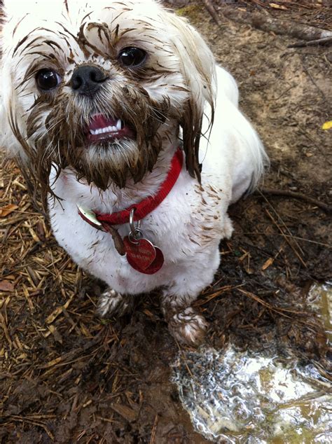 I Love Mud Puddles