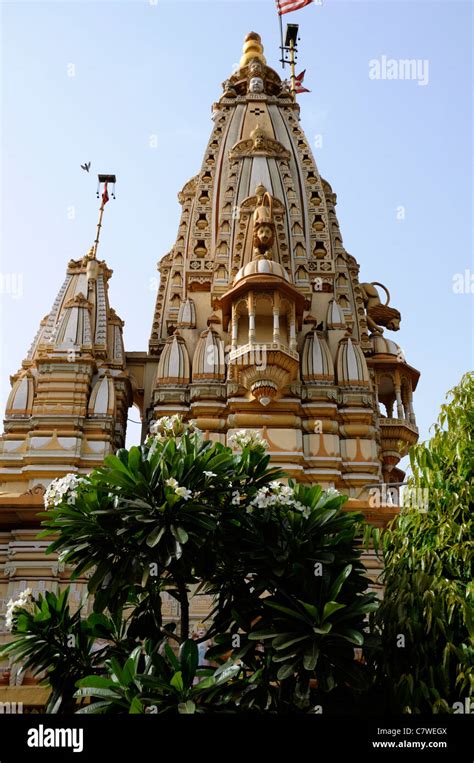 Shri Swaminarayan mandir Temple Ahmedabad Swaminarayan Sampraday Hindu ...