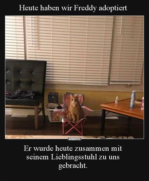 Pin Von Christine Auf Tiere Katzen Lustige Spr Che Kuschelkatze