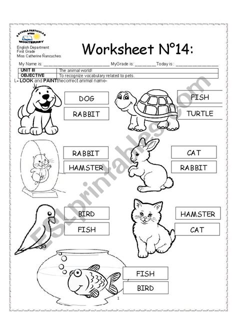 Pets Esl Worksheet By Katieeeee