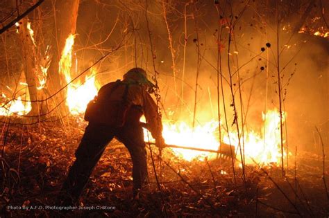 Wildland Task Force — City of Albuquerque