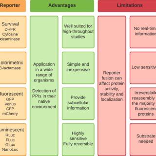 Main PCA reporters with their advantages and limitations. Presentation ... 
