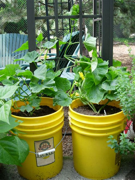 Summer Gardening Tip 1 Summer Watering Veggie Garden Bucket