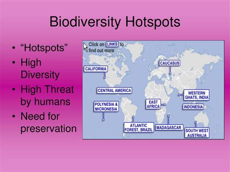 Ppt Species Diversity Powerpoint Presentation Free Download Id 6712316