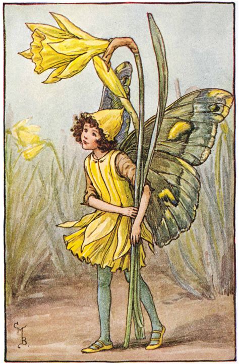 The Daffodil Fairy - Flower Fairies