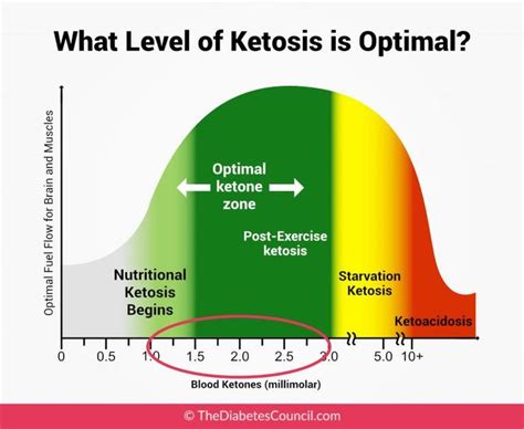 What Causes Ketones To Be Low At Andres Anderson Blog