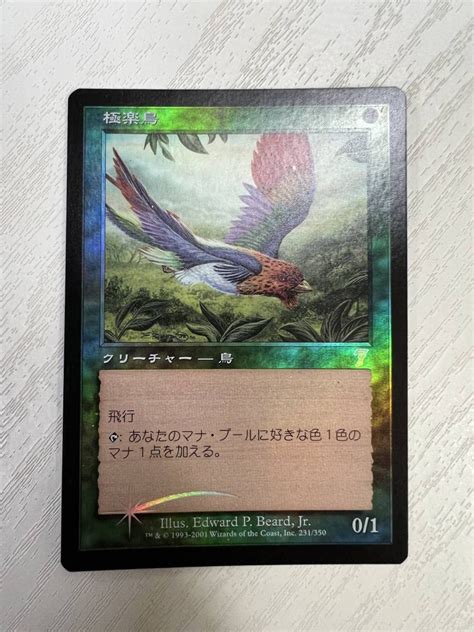 Mtg 極楽鳥 第8版 日本語 Foil トレーディングカード