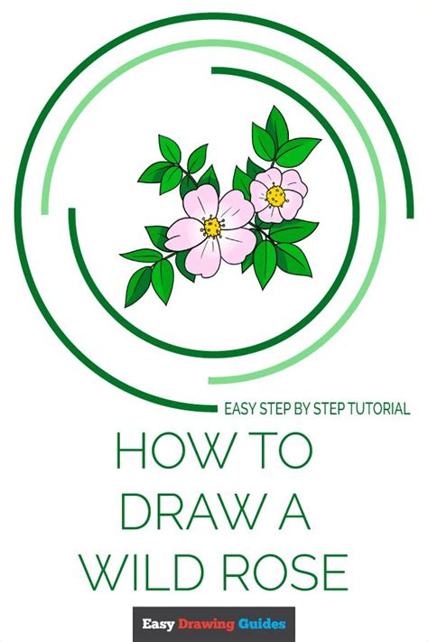 Learn How to Draw a Wild Rose - Step-by-Step Tutorial