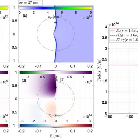 Beam Plasma Concept To Probe Strong Field Qed An Ultrarelativistic