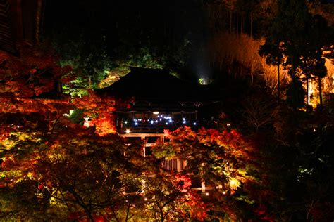 JAPANTWO Blog » Blog Archive » Kiyomizu-dera Illumination 2010 | Tokyo ...