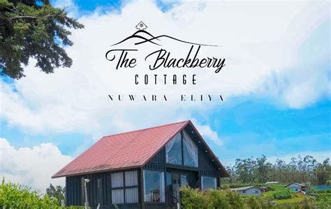 Business Campaign Explore The Luxury Destination Cottage In Nuwara Eliya