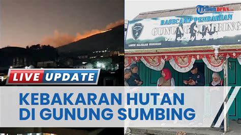 Video Kebakaran Hutan Gunung Sumbing Beredar Di Medsos Titik Api Jauh