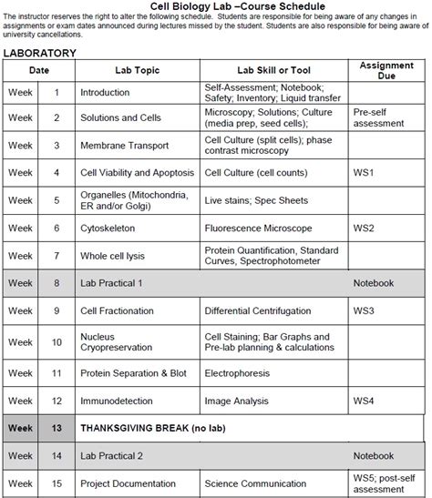 Cell Biology Lab Cellbiolady