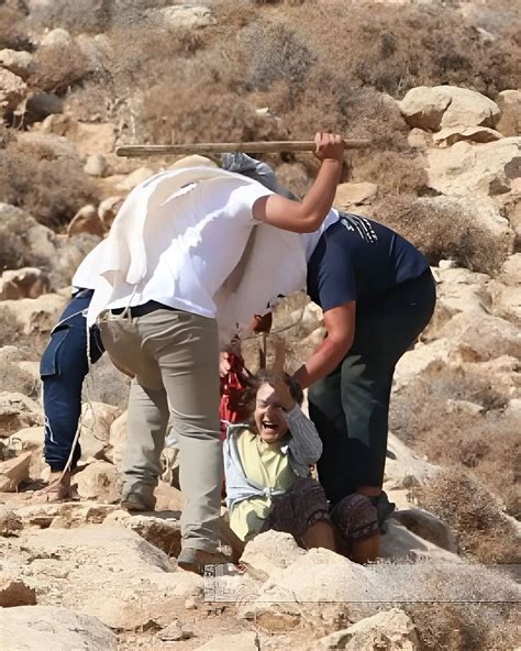 EYE ON PALESTINE On Twitter Israeli Settlers Stab A Foreign