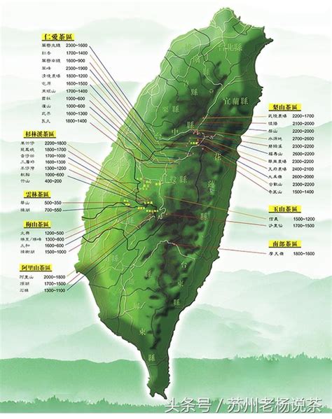 老楊說茶第三十六期：那些年我們追過的台灣烏龍茶 每日頭條