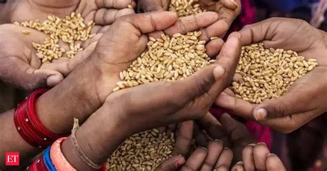 Rice Output Foodgrain Output Estimated At 154 MT In Kharif Season FY24