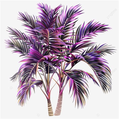 Beautiful Ornamental Palm Tree With Purple And Green Leaves Palm Tree