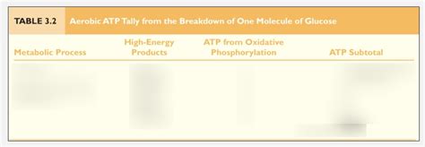 KINES 380 Exam 1 Diagram | Quizlet