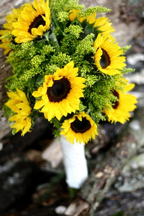 Mayflowers Nashville ~ Floral Design: Sunflower Bouquet