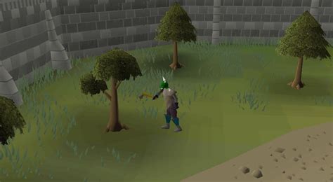 OSRS Woodcutting Guide - Training 1-99 Fast (F2P & P2P Methods)